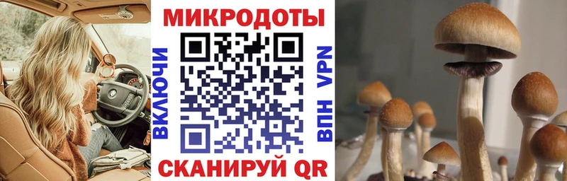 Галлюциногенные грибы GOLDEN TEACHER  Можайск 